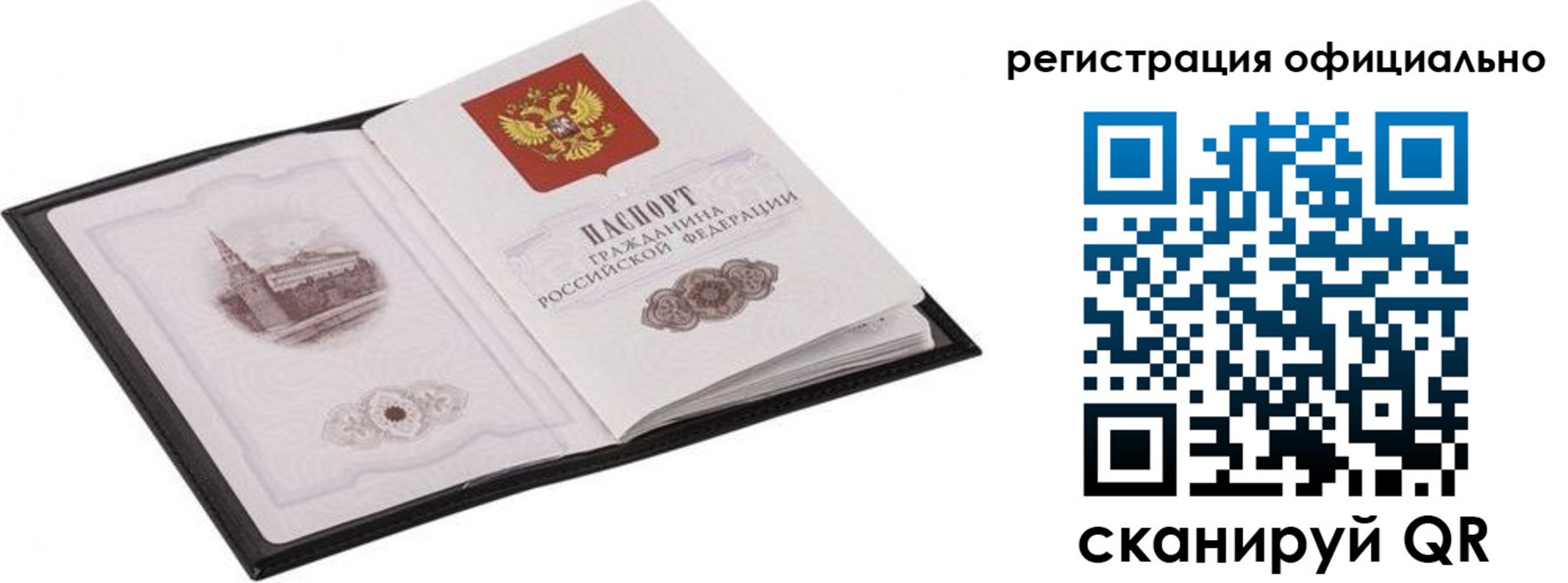 прописка поиск в Светогорске
